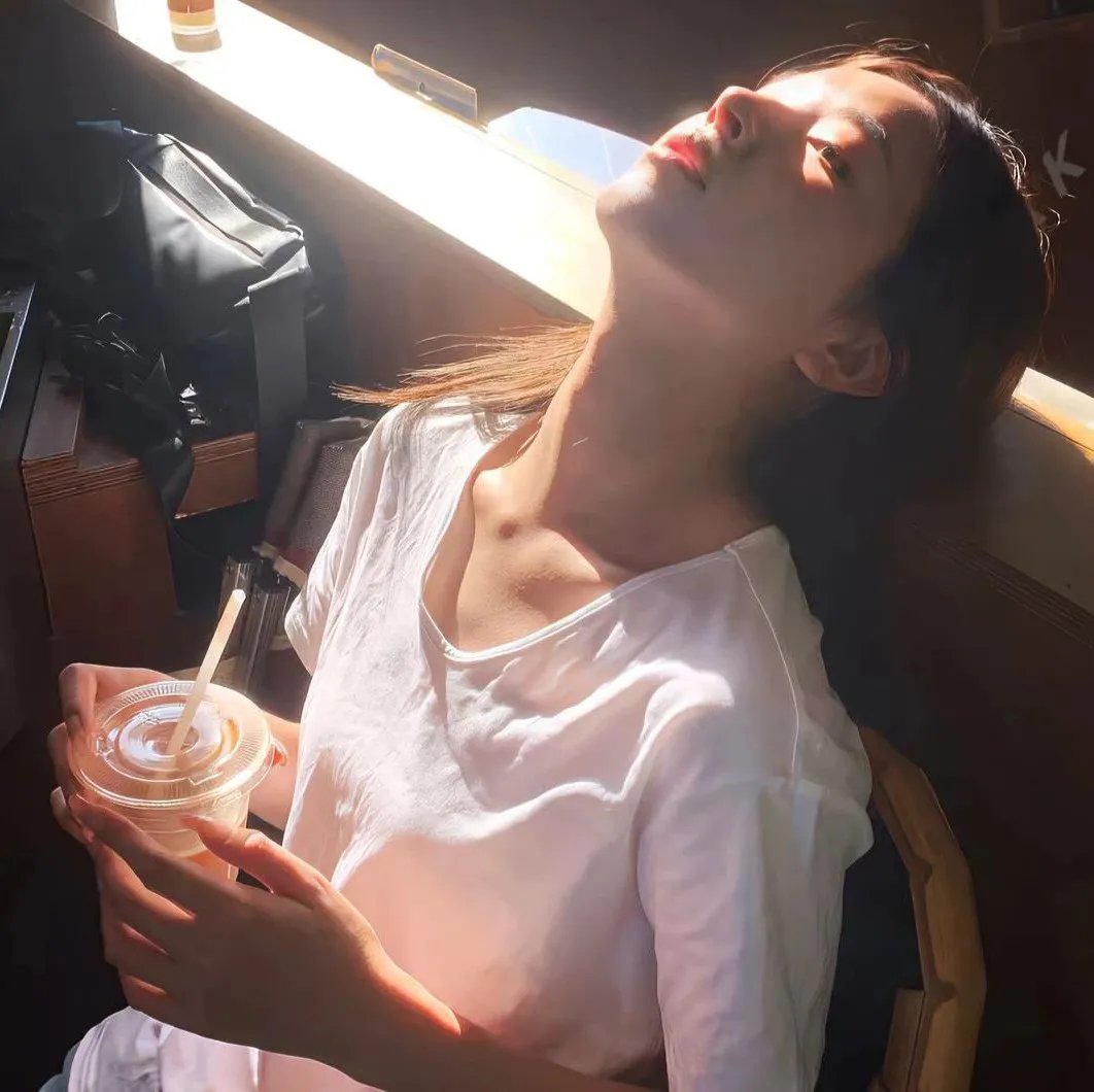 法网追击